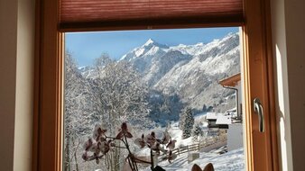 Blick durchs Appartement-Fenster | © Privat
