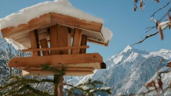Ausblick vom Appartement Chrstine | © Privat